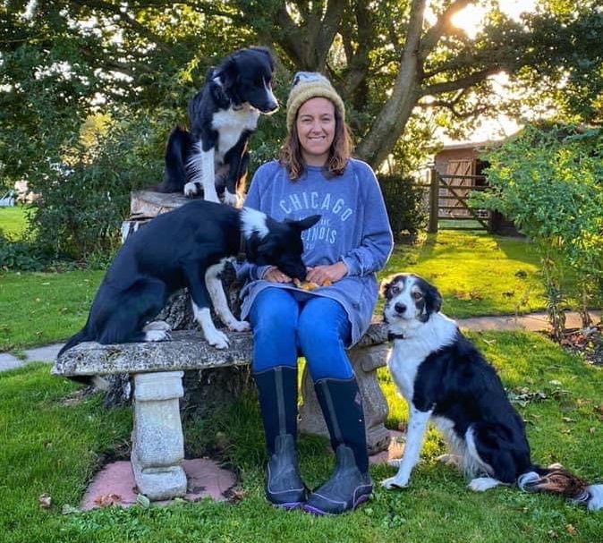 Dog behaviour consultations in Spalding