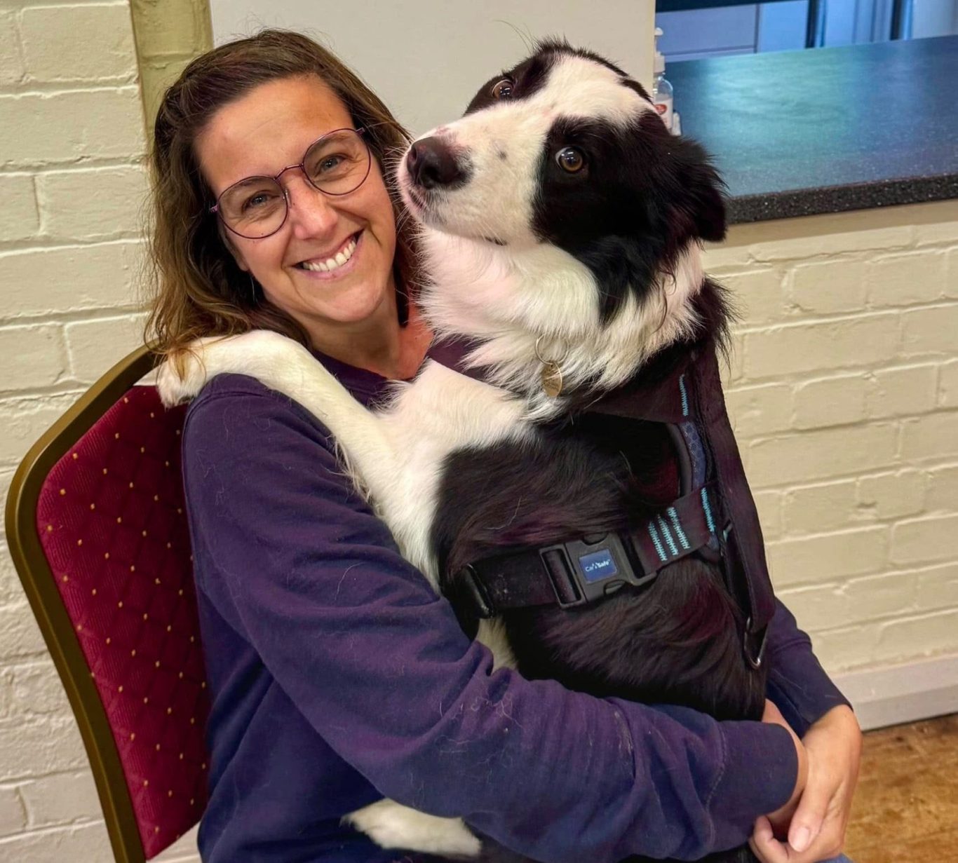 Rachel Rodgers Behaviourist