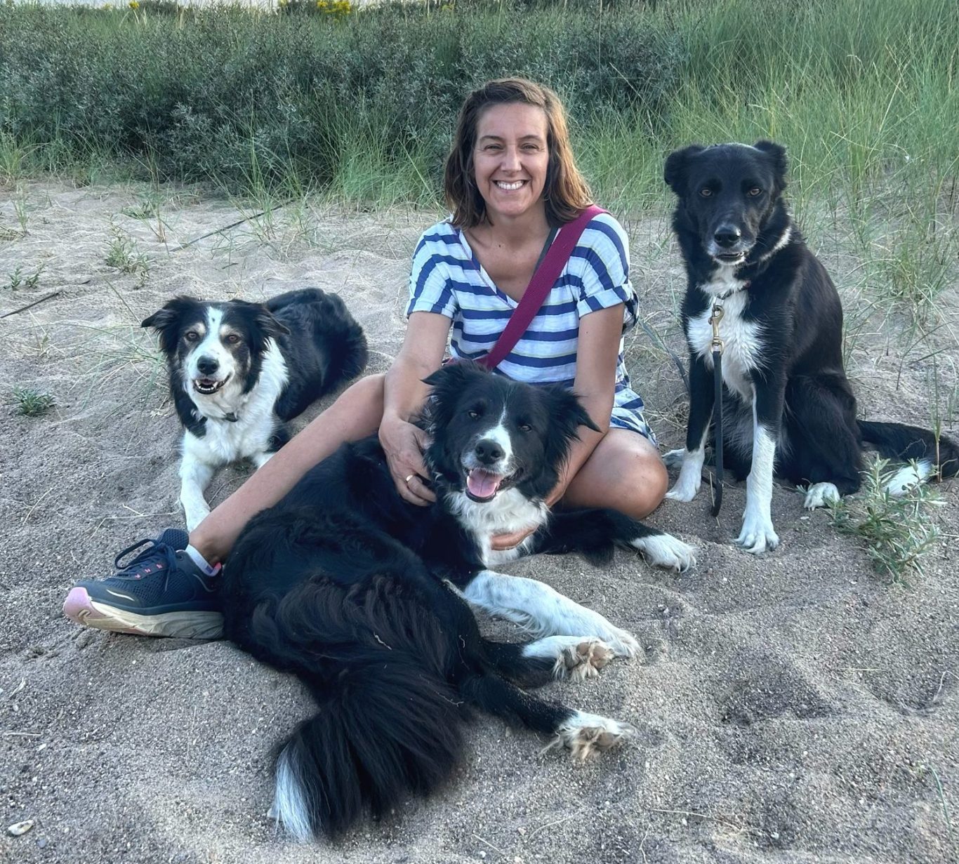 Spalding Dog Trainer & Behaviourist